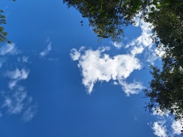 Nuage