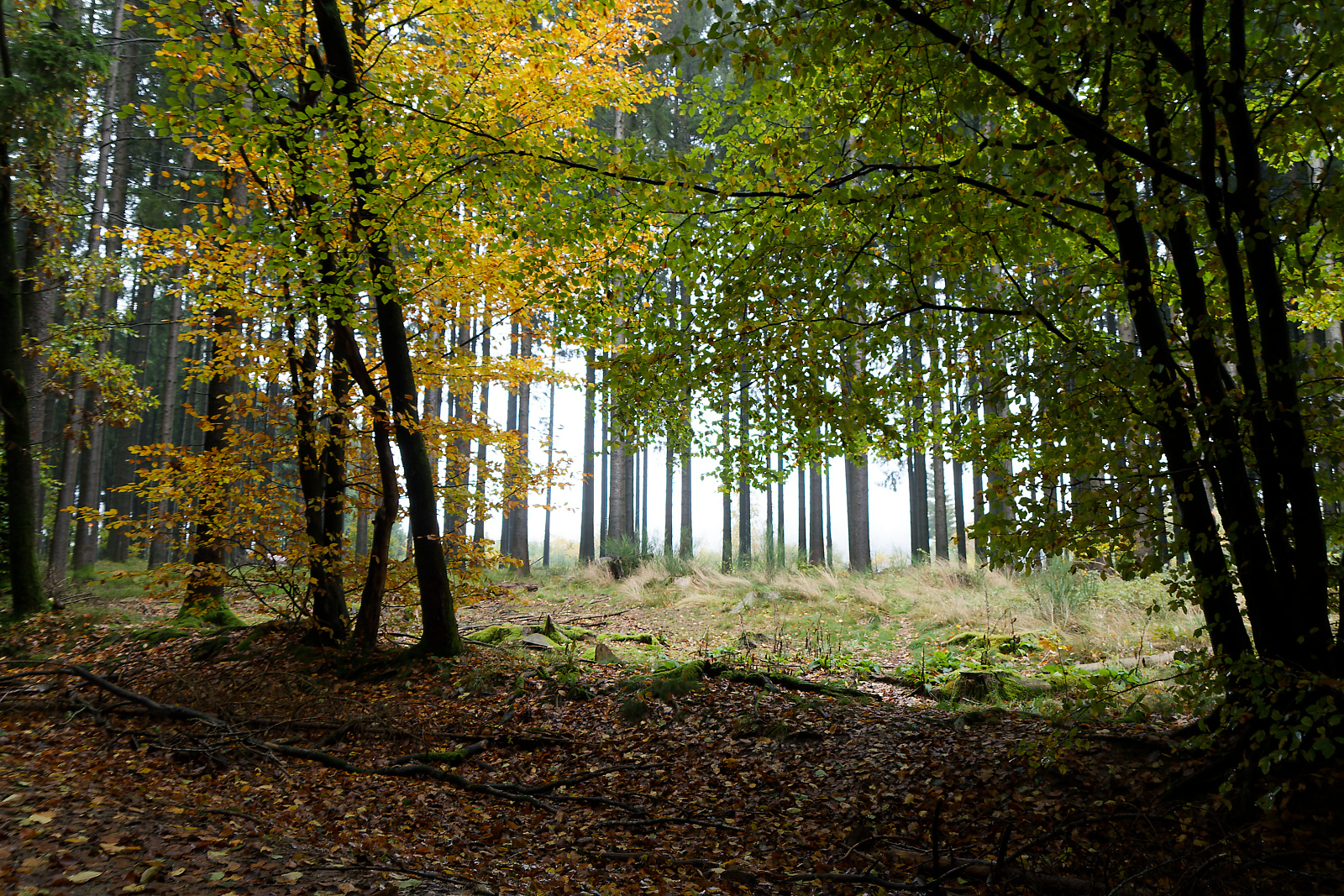 Vacances d’automne en Ardennes