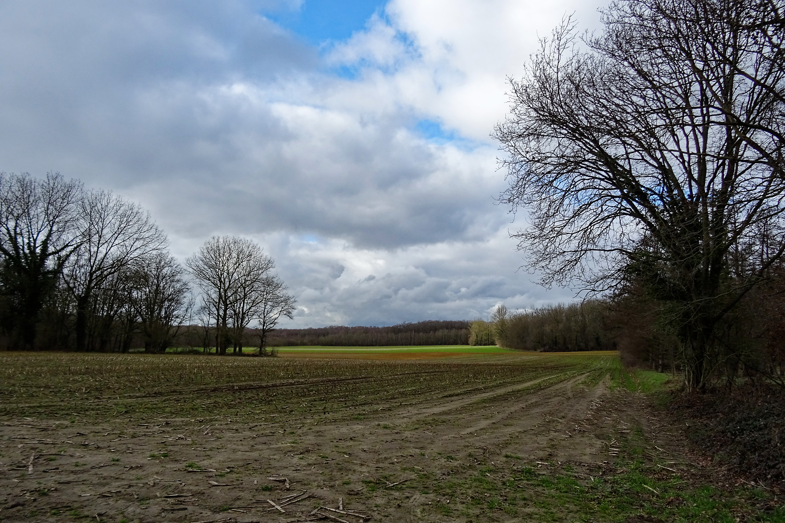 Balade à Callenelle