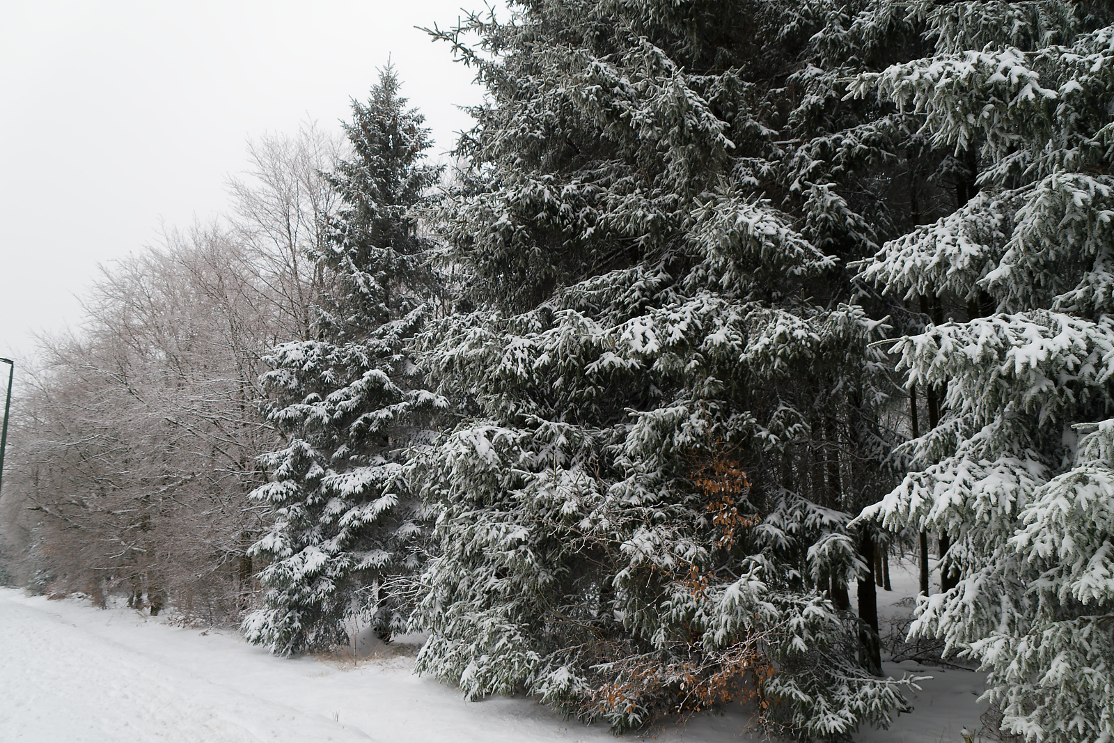 Escapade hivernale à Spa